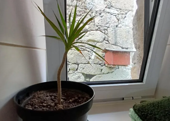 Сasa de vacaciones Casa Kasule - Rral4671 *